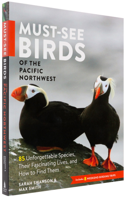 NO_COLOUR|NO_COLOUR|PRI