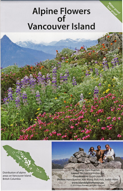 NO_COLOUR|NO_COLOUR|PRI