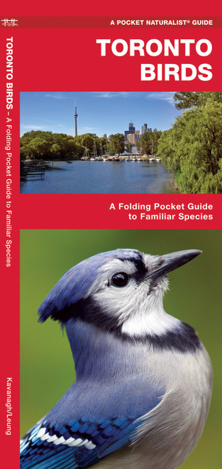 NO_COLOUR|NO_COLOUR|PRI