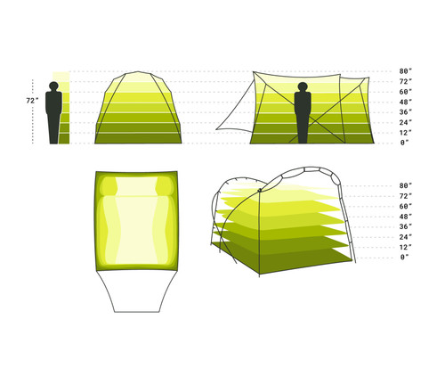 Birch Leaf|Birch Leaf