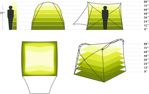 Birch Leaf|Birch Leaf