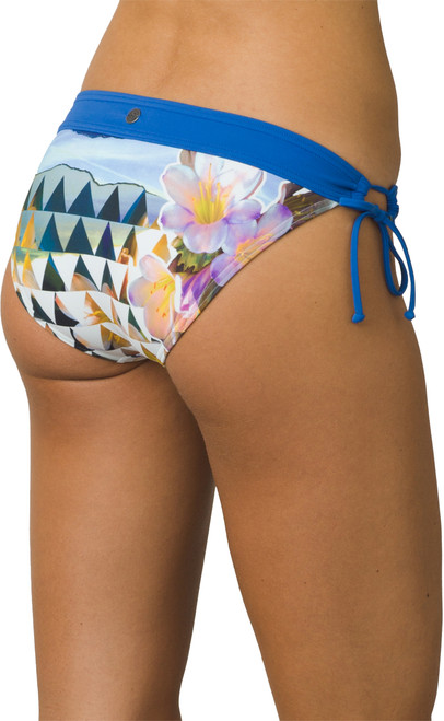 Bluegrass Paradise|Bluegrass Paradise