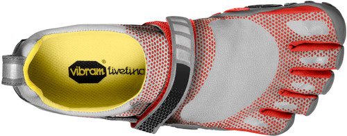 Grey/Berry|Gris/Baie|PRI