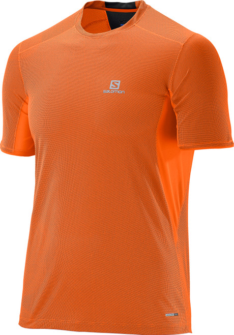 Clementine-X|Clémentine-X|PRI