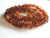 Cognac Baltic Amber Tumbled Nugget/Chip Beads with clasp - 6x8-11x2-2.5- Strand/Necklace