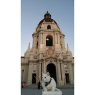 StovePipeCat Proposes First Step Towards Reducing Crowded Shelters 