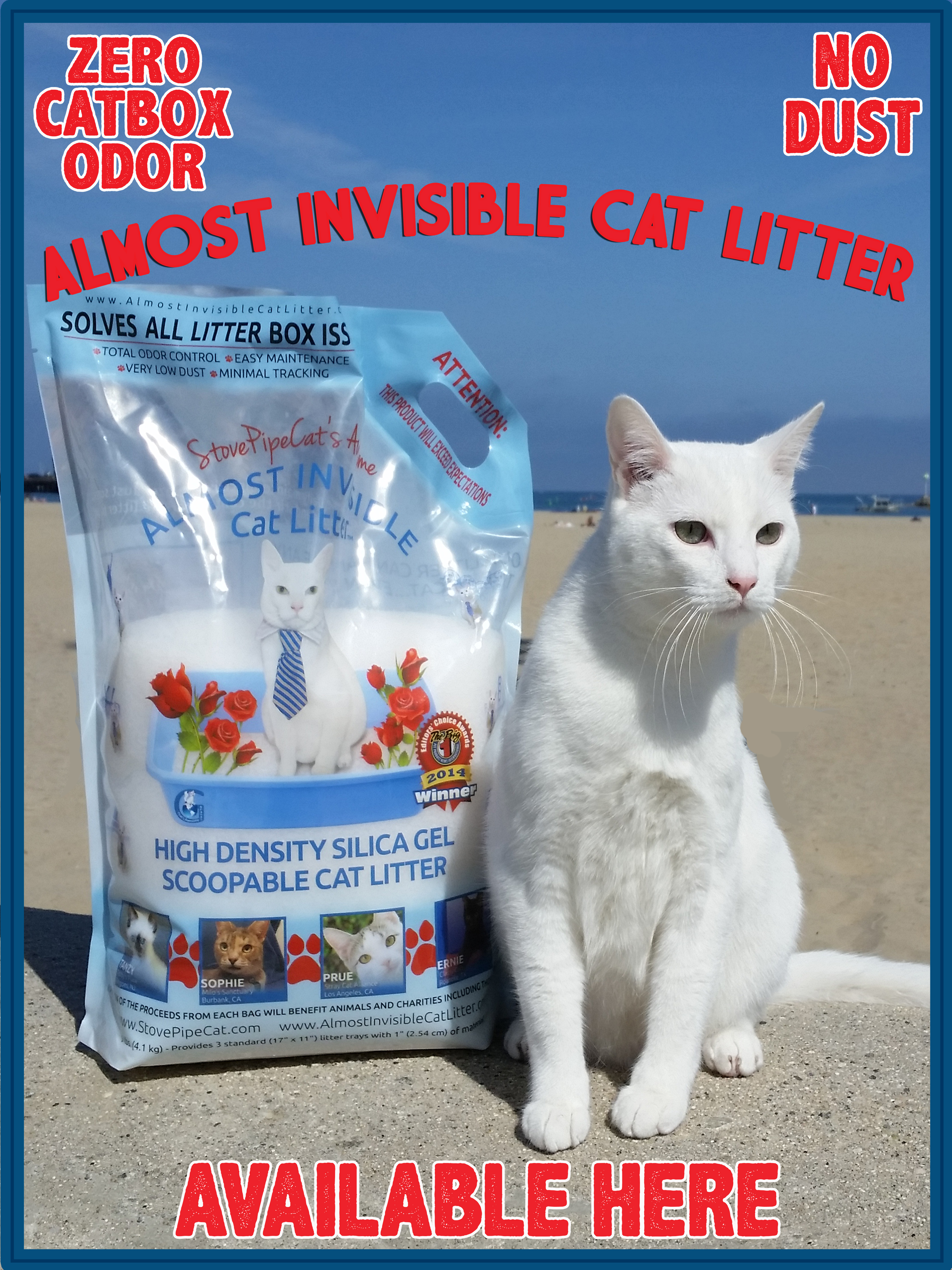 almost-invisible-cat-liiter-beach-poster.jpg