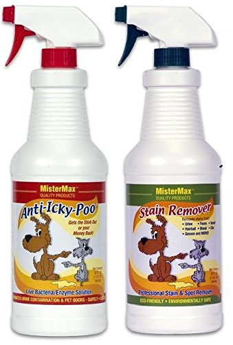 ant-icky-poo-and-stain-remover-quart-combo.jpg