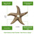 Solid Brass Starfish Doorbell in Antique Brass
