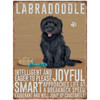 Mini Vintage Dog Metal Sign - Labradoodle Black