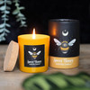 Dark Forest Scented Candles