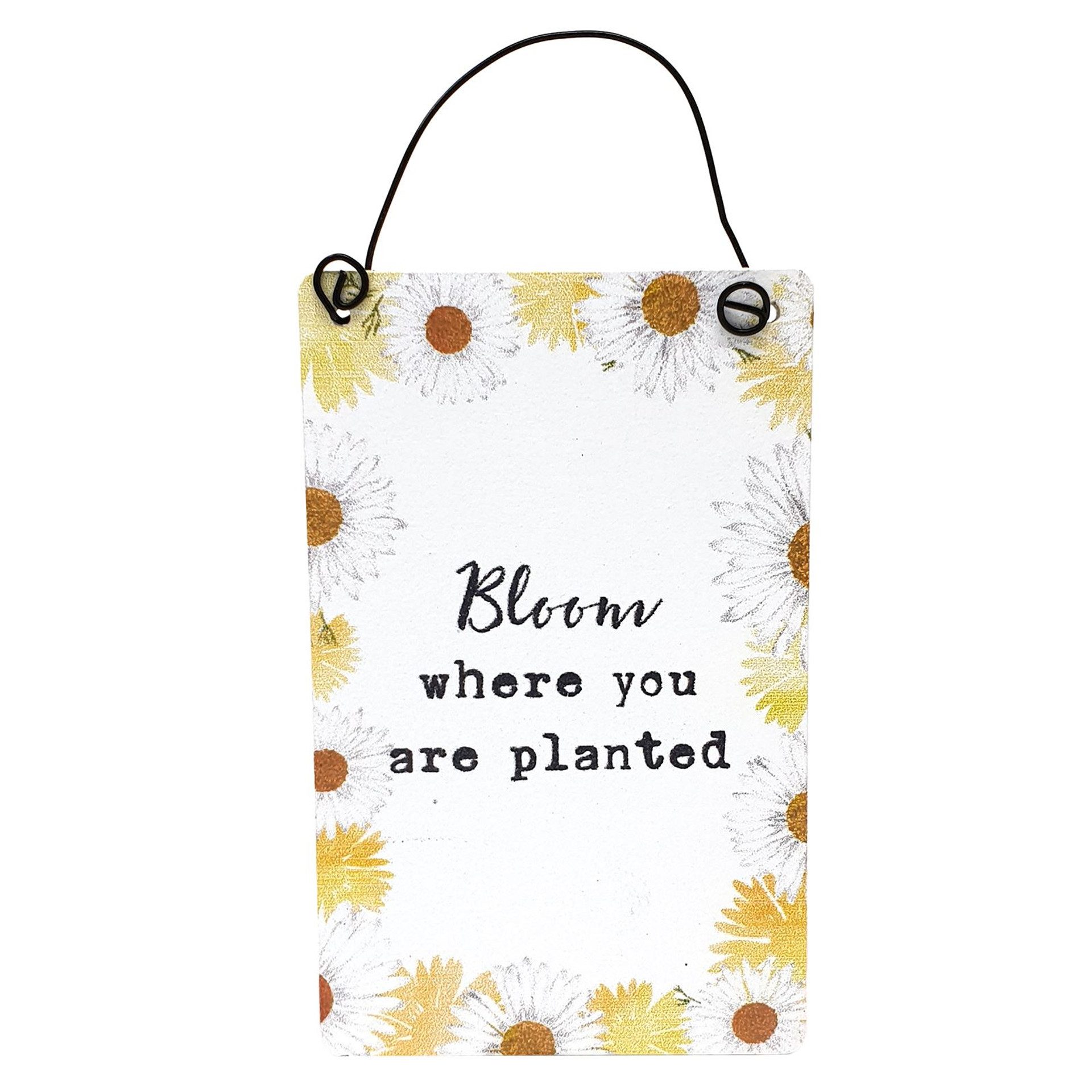 Jones Home & Gift Products - That Internet Shop