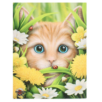 Linda Jones Canvas 25cm x 19cm - Summer Kitten