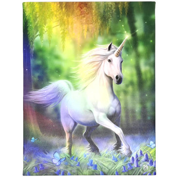 Anne Stokes Canvas 25cm x 19cm - Chase The Rainbow