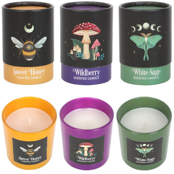 Dark Forest Scented Candles