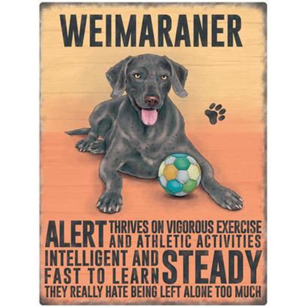 Fridge Magnet Dogs - Weimaraner Silver Grey