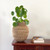 Buhera Basket Small Buhera Basket Small