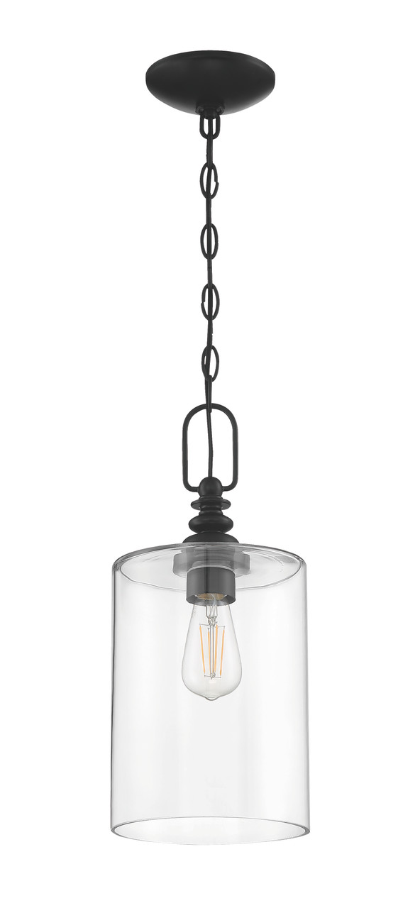 Dardyn 1 Light Mini Pendant in Flat Black (Clear Glass