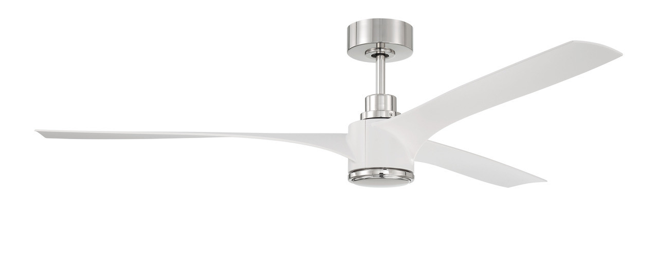 Phoebe 60