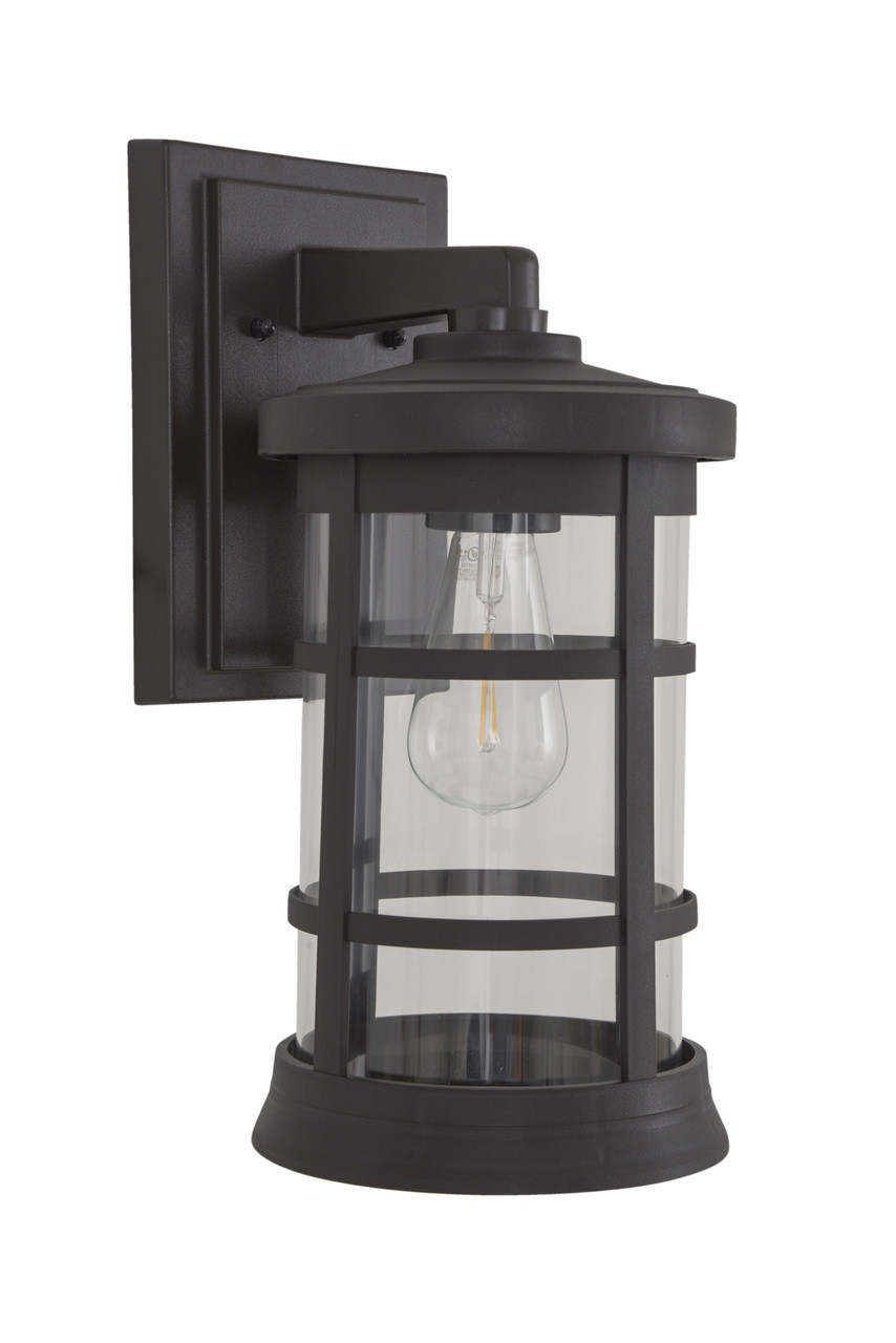 Resilience 1 Light Medium Outdoor Wall Lantern in Bronze, Clear