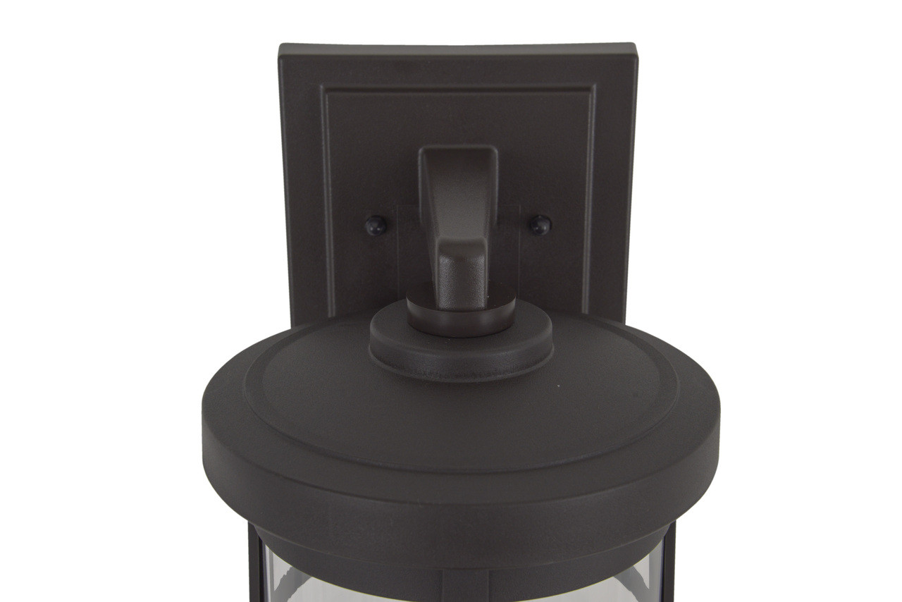 Resilience 1 Light Medium Outdoor Wall Lantern in Bronze, Clear