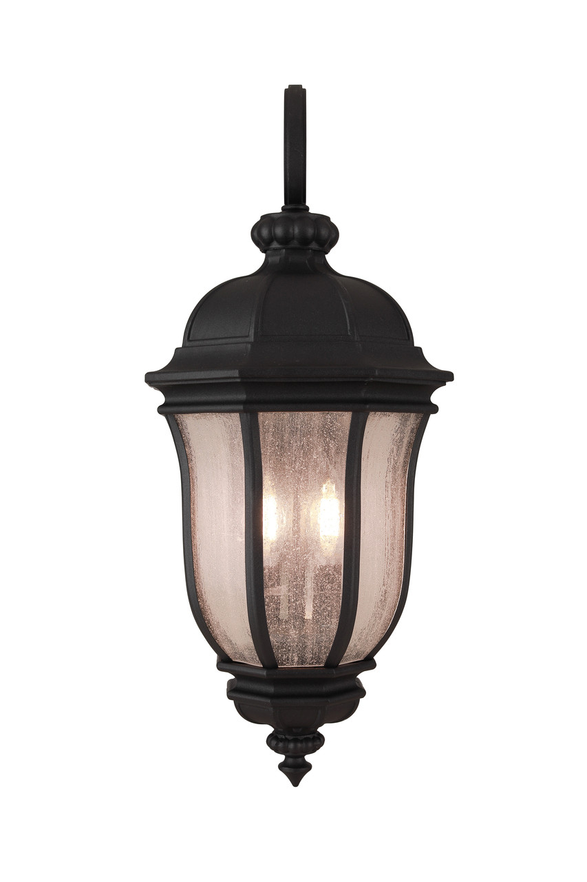 Harper 2 Light Medium Outdoor Wall Lantern in Textured Black