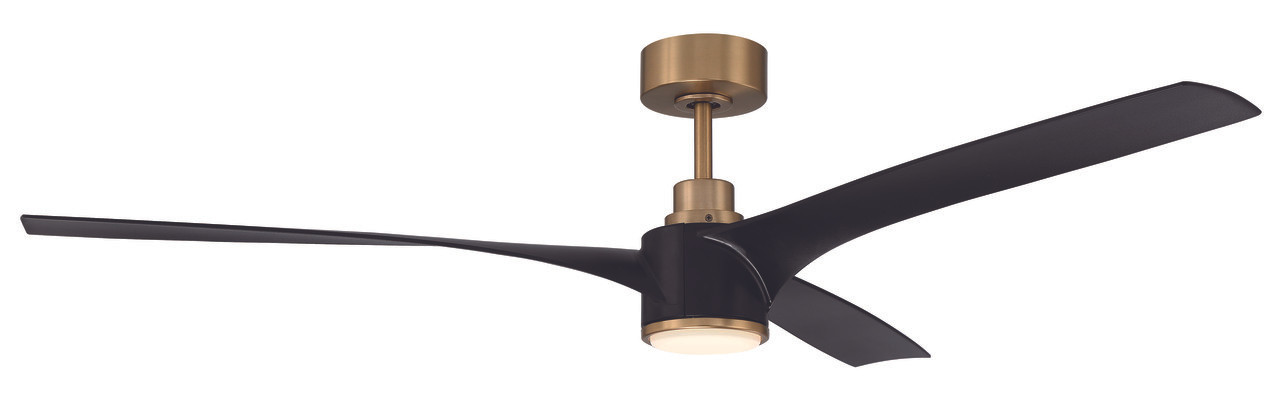 Phoebe 60