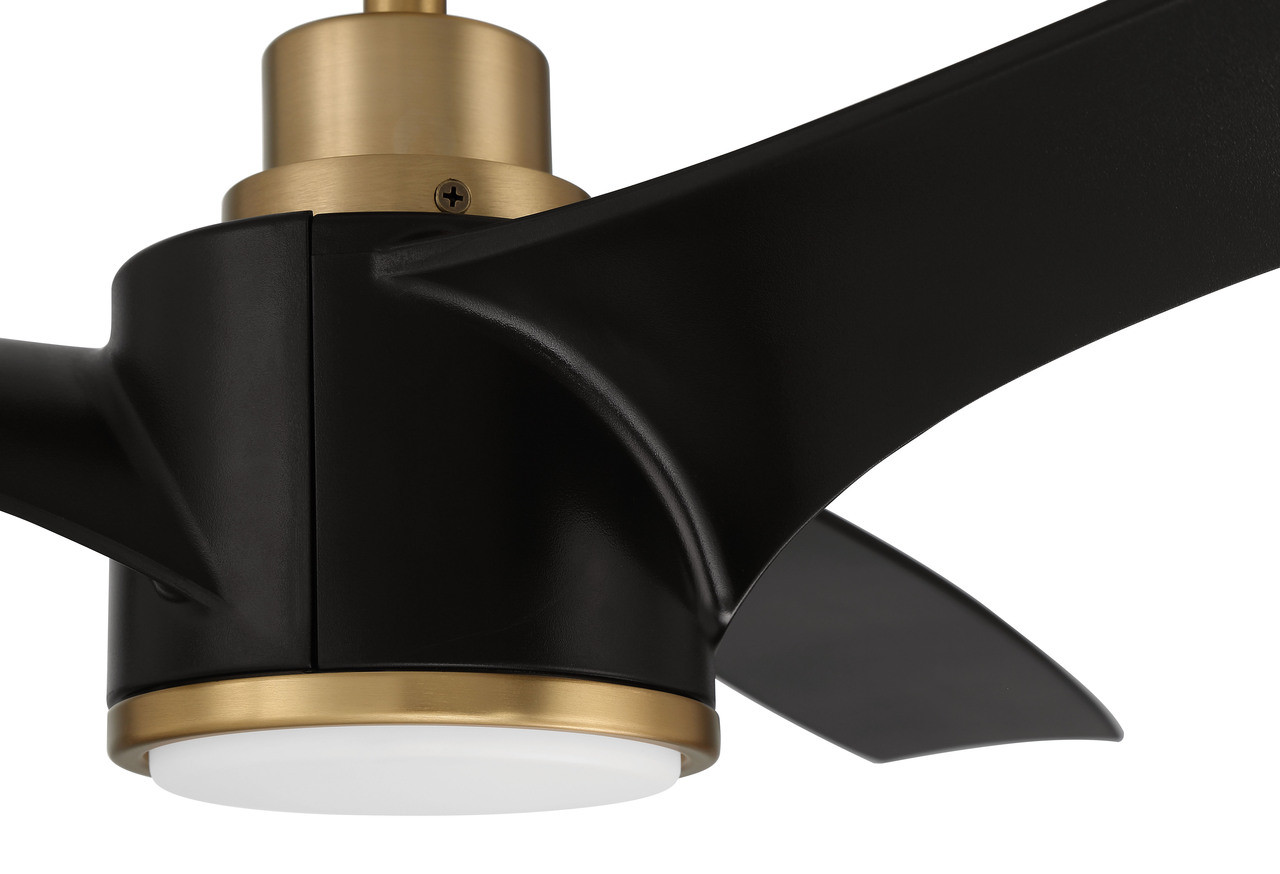 Phoebe 60