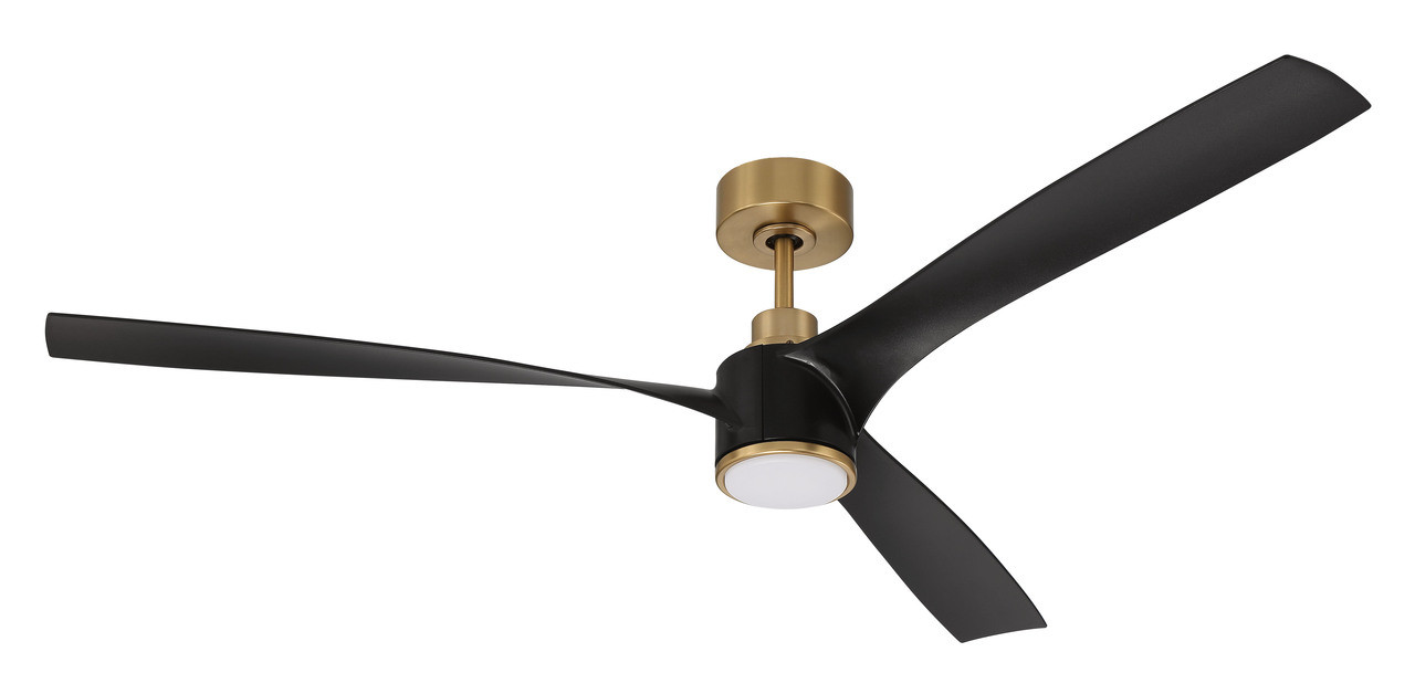 Phoebe 60