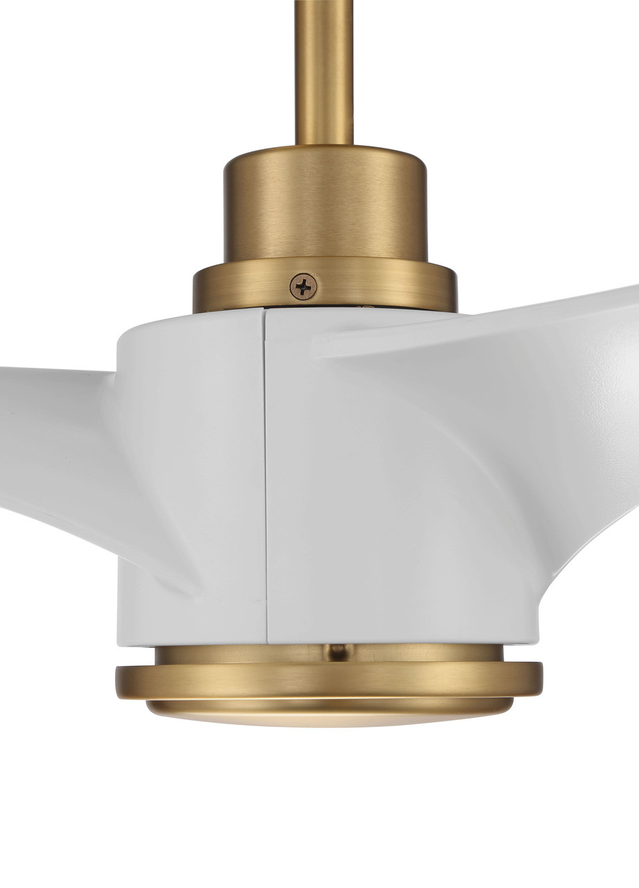 Phoebe 60