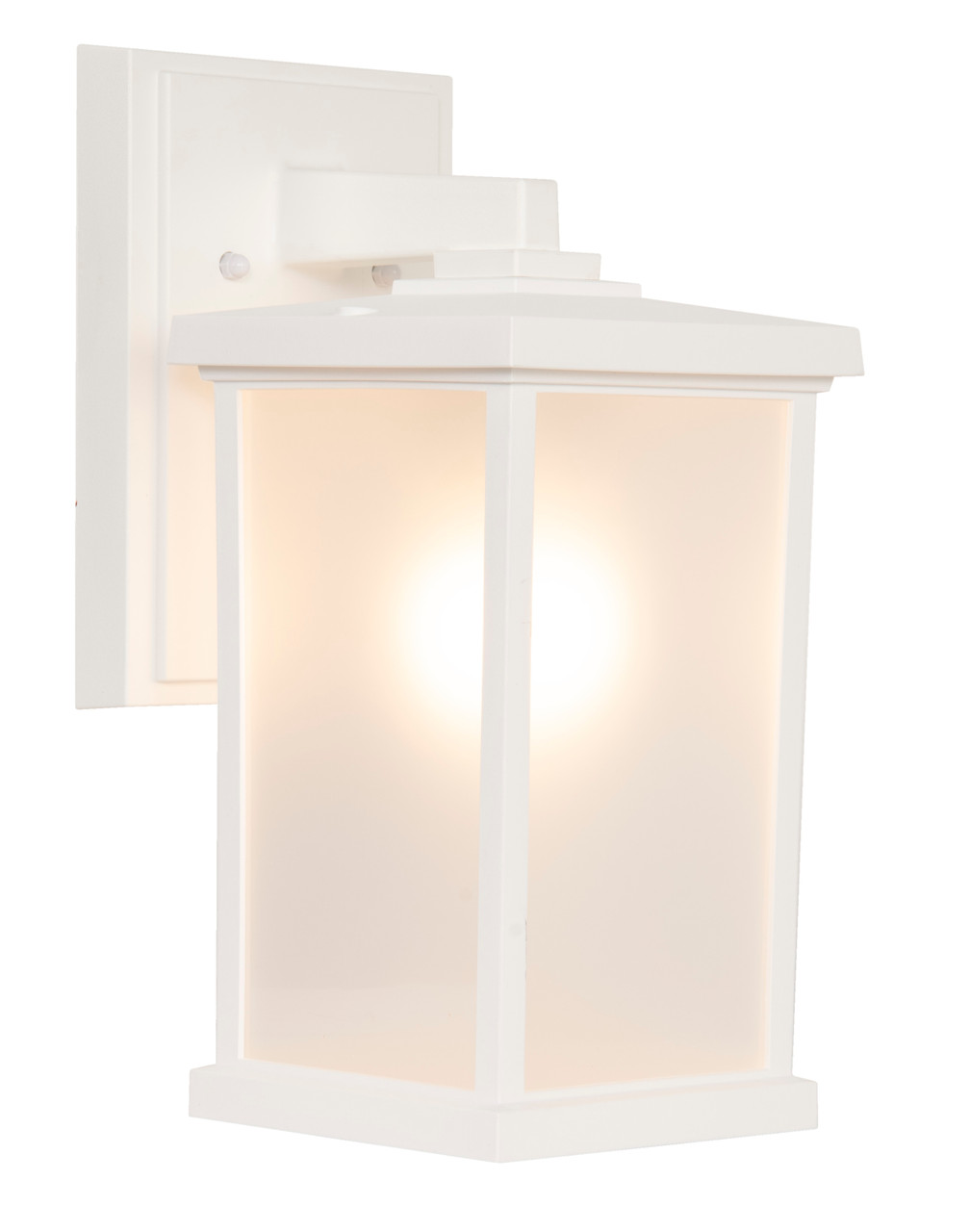 Resilience 1 Light Medium Outdoor Wall Lantern in Textured White
