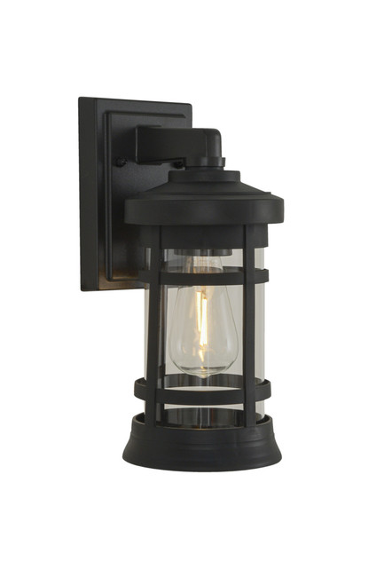 Resilience 1 Light Medium Outdoor Wall Lantern in Bronze, Clear