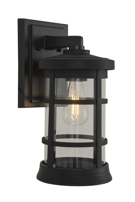 Resilience 1 Light Medium Outdoor Wall Lantern in Bronze, Clear