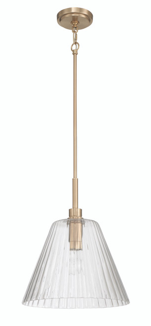 Pleated 1 Light Pendant in Premium Bronze