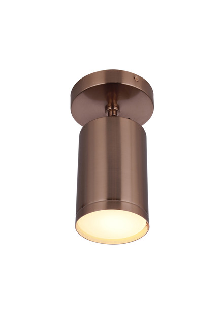 James 1 Light LED Adjustable Semi-Flush/Wall Sconce in Satin Brass