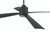 Rhett 52" 4-Blade Ceiling Fan in Flat Black w/ Flat Black Blades; Light Kit Included (Optional)