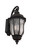 Harper 2 Light Medium Outdoor Wall Lantern in Textured Black