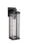 Pyrmont 1 Light Medium Outdoor Wall Lantern in Midnight with Clear Hammered Glass