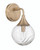 Reflection 1 Light Wall Sconce in Premium Bronze