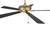 Eos 60" 5-Blade Ceiling Fan in Satin Brass w/ Brushed Nickel/Greywood Blades; Light Kit Optional (Not Included)