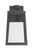 Calgary 1 Light 13" LED Outdoor Wall Lantern in Textured Black