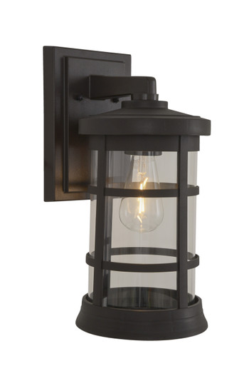 Resilience 1 Light Medium Outdoor Wall Lantern in Bronze, Clear