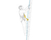 PETZL ASAP'sorber Shock Absorbing Lanyard (2026)