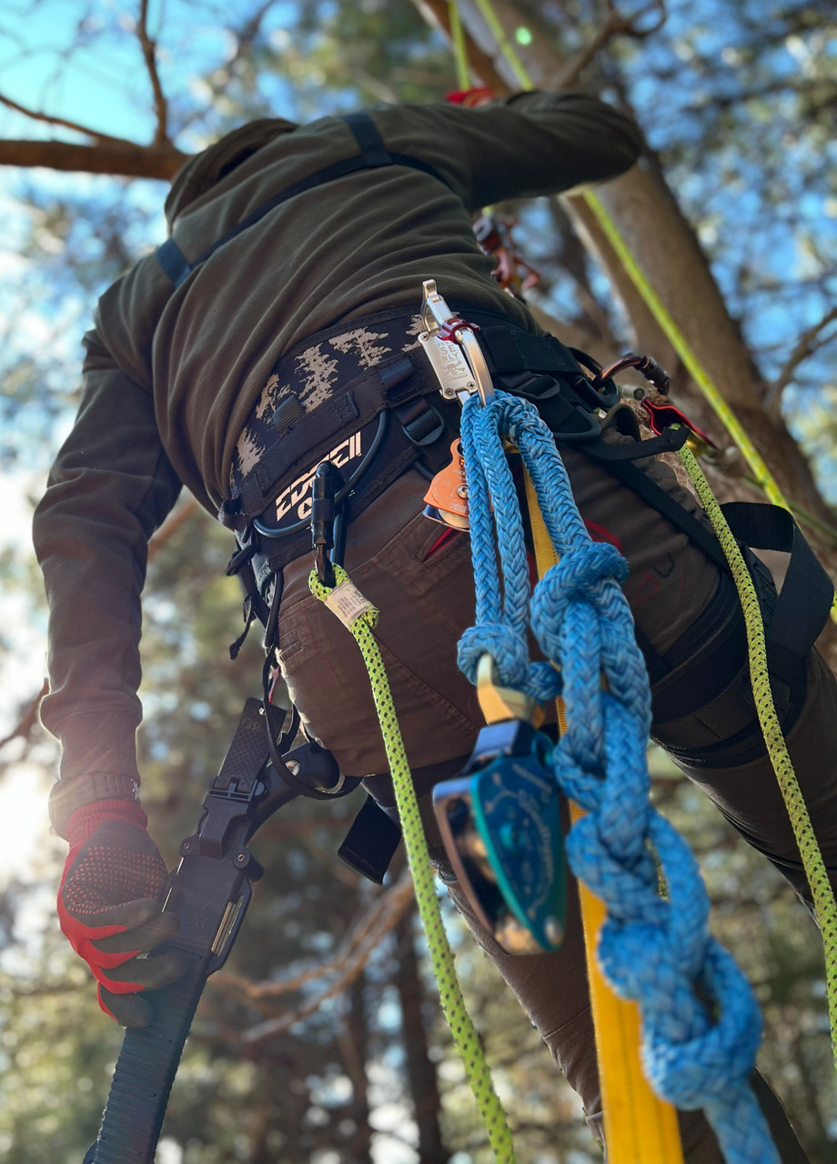 Rock Exotica Transporter Racking Harness Carabiner – Aluminum D-Shape Tool Carrier, Made In USA