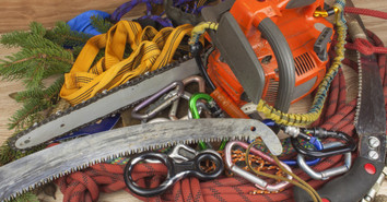 Tips for Storing Arborist Gear and Equipment