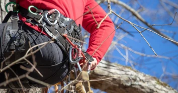 The Importance of Regular Gear Inspection for Arborists