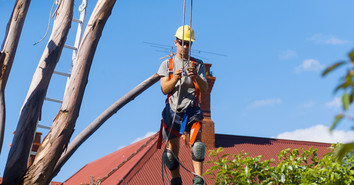Essential Rope Management Techniques for Arborists Essential Rope Management Techniques for Arborists