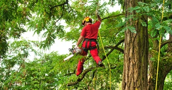 Signs It’s Time To Replace Your Arborist Climbing Equipment