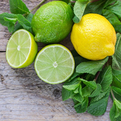 Lemon Lime Flavor-TFA