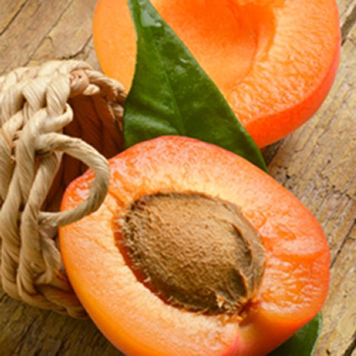 Apricot Flavor TFA-Gallon